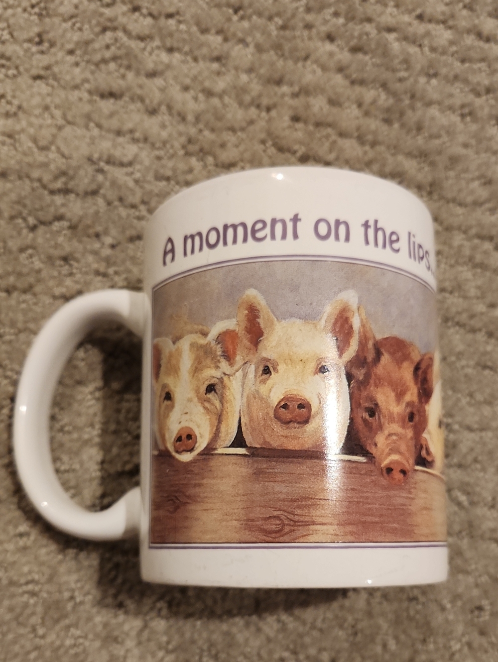 Vintage 1995 Leanin' Tree ceramic coffee mug pig " FORVER ON THE HIPS"